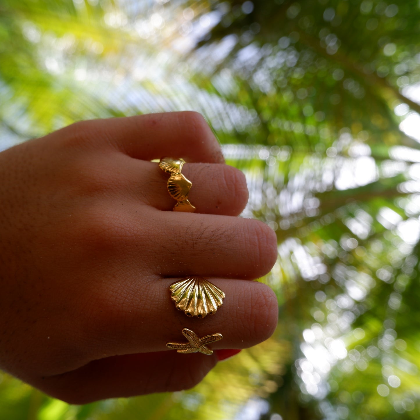 Cascade of Shell Ring