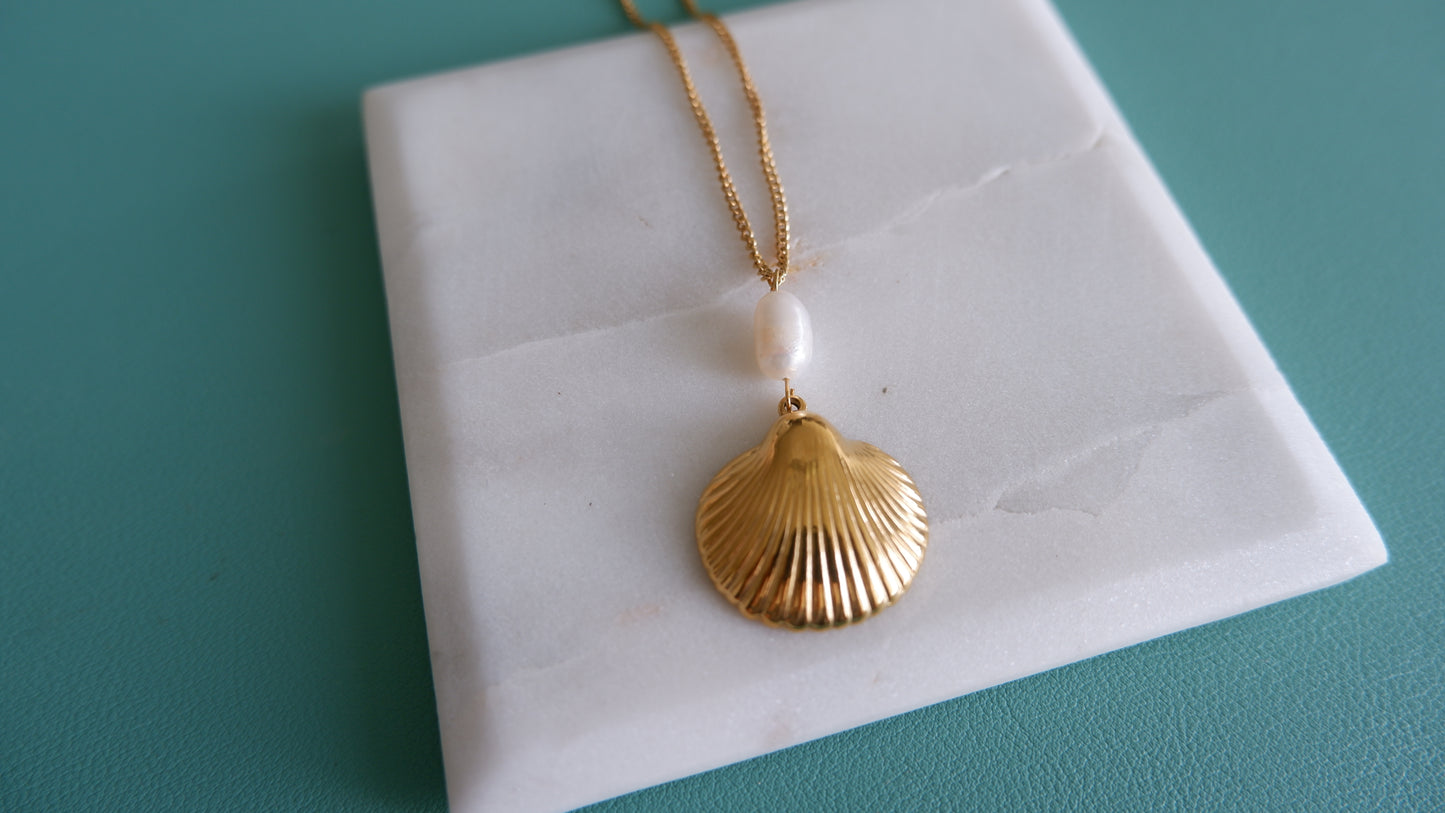 Pearl Shell Necklace